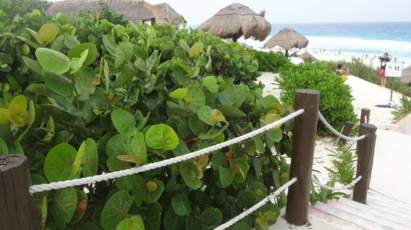 墨西哥尤卡坦半岛坎昆美丽的海浪和可爱的加勒比海海水 没有过滤器 沙子和棕榈树 — 图库照片