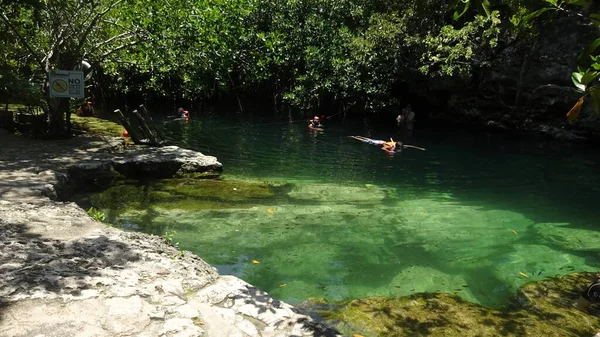 Senote Una Grotta Dove Può Nuotare Cenote Cristallino Messico — Foto Stock