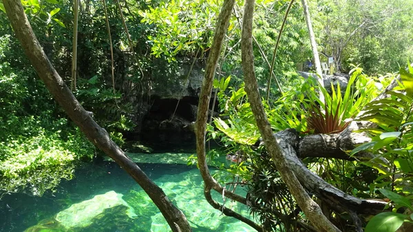 Senote Una Cueva Donde Puede Nadar Cenote Cristallino México — Foto de Stock