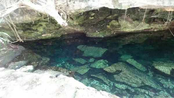 Senote Est Une Grotte Vous Pouvez Nager Est Cénote Cristallino — Photo