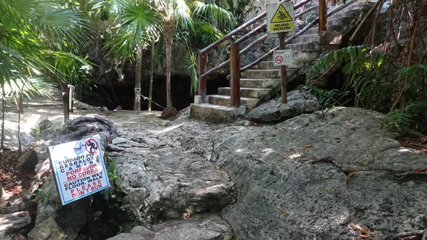 Senote Una Cueva Donde Puede Nadar Cenote Cristallino México —  Fotos de Stock