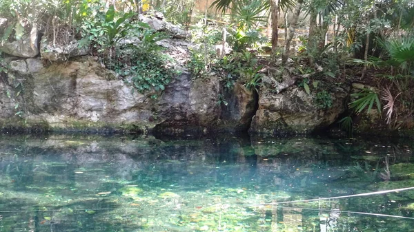 Senote Uma Caverna Onde Você Pode Nadar Cenote Cristallino México — Fotografia de Stock