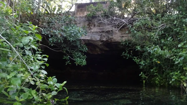 Senote Una Cueva Donde Puede Nadar Cenote Cristallino México — Foto de Stock