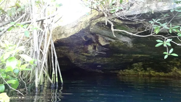 Сенот Печера Можна Плавати Сенот Крісталіно Мексики — стокове фото