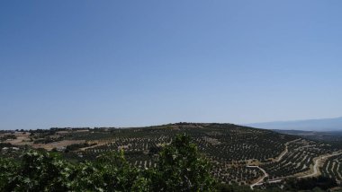 Ubeda - Endülüs 'ün çok eski bir kasabası, İspanya