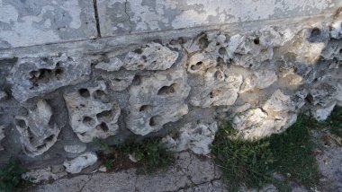 Brugos, Kastilya ve Leon toplumunda bir şehirdir. Büyüleyici katedrali, güzel panoramaları, antik caddeleri olan harika bir yer.