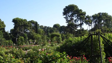 Madrid 'in muhteşem mimarisi. Park, saray ve İspanyol başkentinin sokakları adildir. Seyahat için harika bir yer.