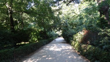 Madrid 'in muhteşem mimarisi. Park, saray ve İspanyol başkentinin sokakları adildir. Seyahat için harika bir yer.