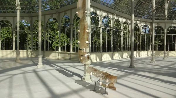 Madrid 'in muhteşem mimarisi. Park, saray ve İspanyol başkentinin sokakları adildir. Seyahat için harika bir yer.