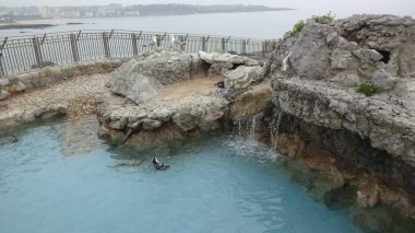 Santander 'in mimarisi ve doğası. Şaşırtıcı kuzey İspanya, dalgalar, deniz aslanları, uçurumlar ve harika plajlar. Alışılmadık binalar ve La Magdalena Yarımadası