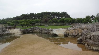 Santander 'in mimarisi ve doğası. Şaşırtıcı kuzey İspanya, dalgalar, deniz aslanları, uçurumlar ve harika plajlar. Alışılmadık binalar ve La Magdalena Yarımadası