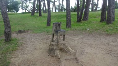 Santander 'in mimarisi ve doğası. Şaşırtıcı kuzey İspanya, dalgalar, deniz aslanları, uçurumlar ve harika plajlar. Alışılmadık binalar ve La Magdalena Yarımadası