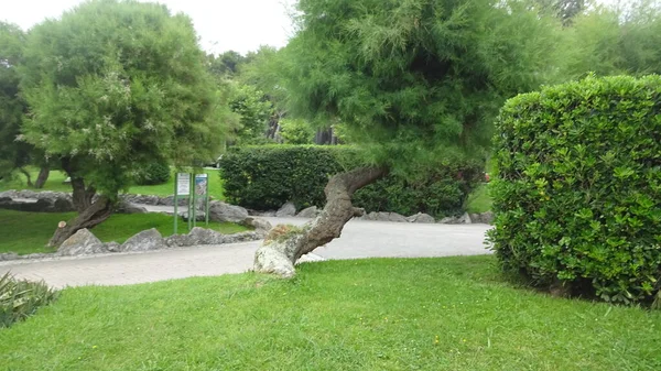 Santander Mimarisi Doğası Şaşırtıcı Kuzey Spanya Dalgalar Deniz Aslanları Uçurumlar — Stok fotoğraf