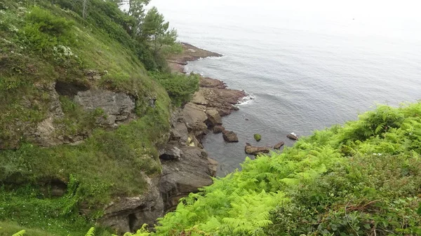 Architektura Natura Santandera Oszałamiająca Północna Hiszpania Fale Lwy Morskie Klify — Zdjęcie stockowe