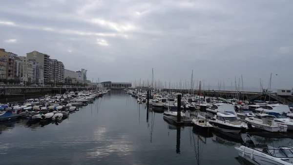 Architecture Nature Santander Superbe Nord Espagne Vagues Otaries Falaises Plages — Photo