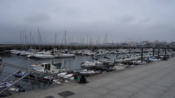 Architecture Nature Santander Superbe Nord Espagne Vagues Otaries Falaises Plages — Photo