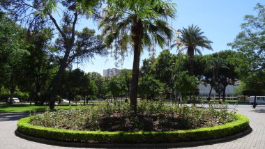 Sıcak Cordoba 'nın içinden geç. İspanyol lezzeti ve güney gelenekleri. Endülüs kültürel turizm için çarpıcı bir yerdir.