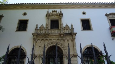Seville, İspanya 'nın Endülüs şehrinde çarpıcı bir şehirdir.