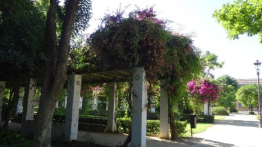 Seville, İspanya 'nın Endülüs şehrinde çarpıcı bir şehirdir.