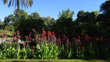 Seville, İspanya 'nın Endülüs şehrinde çarpıcı bir şehirdir.