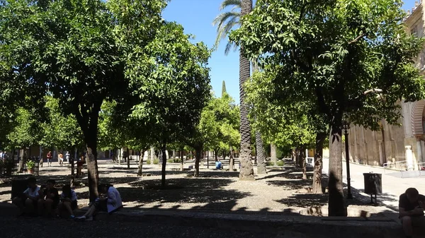 Camina Por Calurosa Córdoba Sabor Español Tradiciones Sureñas Andalucía Lugar — Foto de Stock