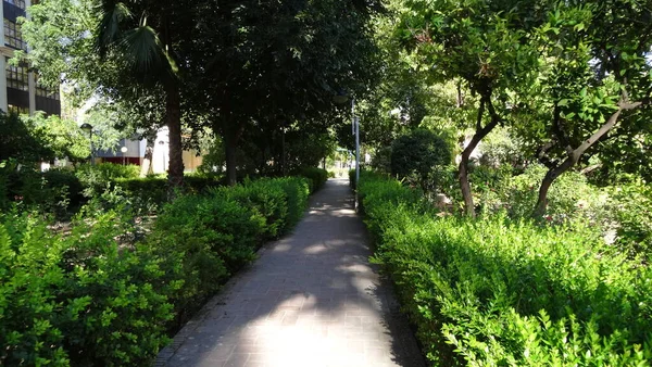 Murcie Est Une Ville Très Calme Belle Dans Centre Espagne — Photo