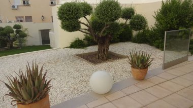 Jaen şehri İspanya 'nın güneyinde yer almaktadır. Bir sürü eski bina, güzel caddeler, ilginç mimari....