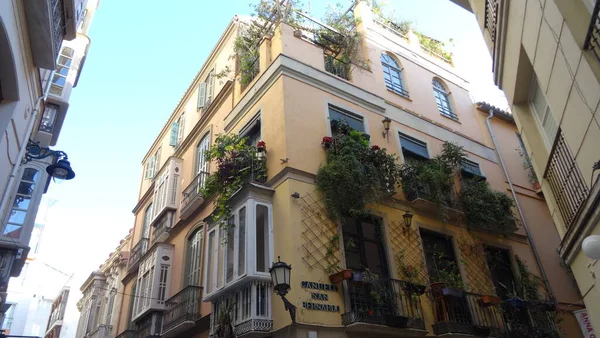 Endülüs Özerk Topluluğu, Malaga şehri, İspanyol gelenekleri ve harika sokaklar. Antik binaların arasında yürümek ve muhteşem katedrale doğru bir yürüyüş.