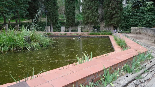 Girona Una Ciudad Enjambre Cataluña Con Maravillosos Muros Piedra — Foto de Stock