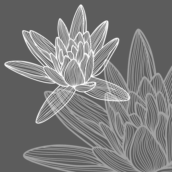 Flor de loto dibujada a mano . — Archivo Imágenes Vectoriales