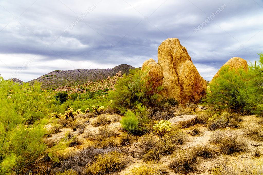 Desert landscape with Boulders and Cacti and Black Mountain in the Background