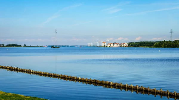 Das Vogelschutzgebiet von veluwemeer mit Schilf und Wäldern entlang der Küste unter blauem Himmel in den Niederlanden — Stockfoto