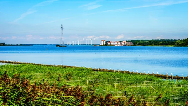 Das Vogelschutzgebiet von veluwemeer unter blauem Himmel in den Niederlanden — Stockfoto