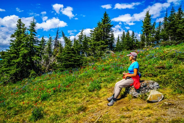 Старшая женщина сидит на скале среди диких цветов и наслаждается видом с горы Тод — стоковое фото
