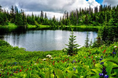 Tod göl kenarında British Columbia, Kanada Shuswap dağlık Tod dağın tepesine