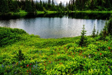 Tod göl kenarında British Columbia, Kanada Shuswap dağlık Tod dağın tepesine