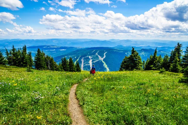 Senderismo por los prados alpinos de montaña con flores silvestres en la montaña Tod en las tierras altas de Shuswap — Foto de Stock