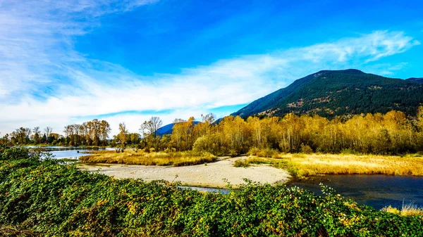 Fall Colors around Nicomen Slough, a branch of the Fraser River, as it flows through the Fraser Valley — Stock Photo, Image