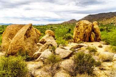 Büyük taş ve kayalar çalılar ve Saguaro ve Cholla kaktüsler Arizona Çölü'nde çevrili