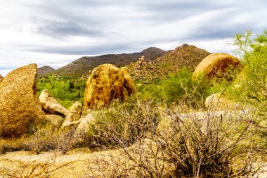 Büyük taş ve kayalar çalılar ve Saguaro ve Cholla kaktüsler Arizona Çölü'nde çevrili