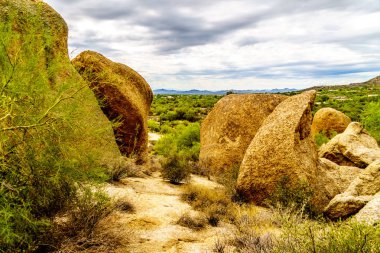 Büyük taş ve kayalar çalılar ve Saguaro ve Cholla kaktüsler Arizona Çölü'nde çevrili