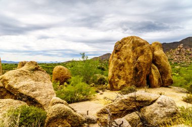 Büyük taş ve kayalar çalılar ve Saguaro ve Cholla kaktüsler Arizona Çölü'nde çevrili