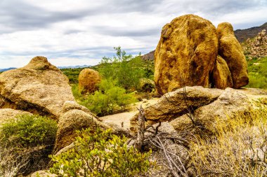 Büyük taş ve kayalar çalılar ve Saguaro ve Cholla kaktüsler Arizona Çölü'nde çevrili
