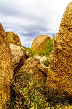 Büyük taş ve kayalar çalılar ve Saguaro ve Cholla kaktüsler Arizona Çölü'nde çevrili