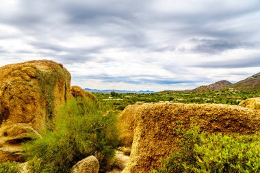Büyük taş ve kayalar çalılar ve Saguaro ve Cholla kaktüsler Arizona Çölü'nde çevrili