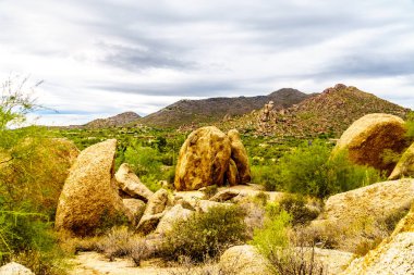 Büyük taş ve kayalar çalılar ve Saguaro ve Cholla kaktüsler Arizona Çölü'nde çevrili
