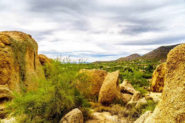 Nagy sziklák és kövek körül cserjék és Saguaro és Cholla kaktuszok az Arizona-sivatagban — Stock Fotó
