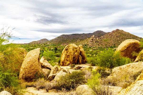Büyük taş ve kayalar çalılar ve Saguaro ve Cholla kaktüsler Arizona Çölü'nde çevrili