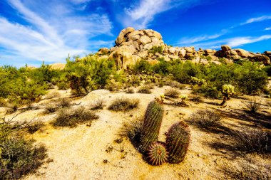 Yatay, varil kaktüsler kaygısız Arizona yakınlarında çölde kayalar, çöl
