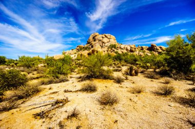 Cholla ve Saguaro kaktüs kaygısız Arizona yakınlarında çölde kayalar, çöl, yatay